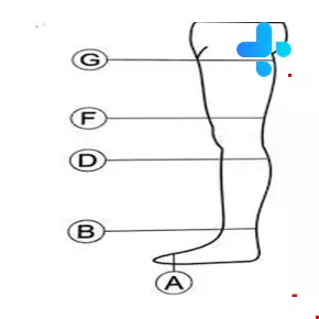 Teb & Sanat Compression Stockings AF model Code 71000
